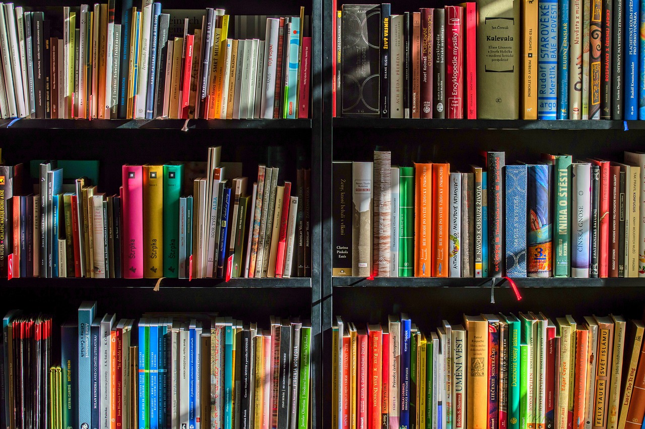books-bookstore-book-1204029-1 books, bookstore, book-1204029.jpg